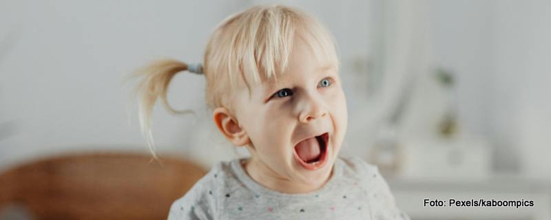 singendes Kleinkind - blondes Mädchen mit Mini-Zöpfen